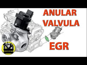 Chapa Anular EGR 1.9 TDI: Cómo solucionar el problema de la válvula EGR en tu vehículo con esta chapa de alta calidad