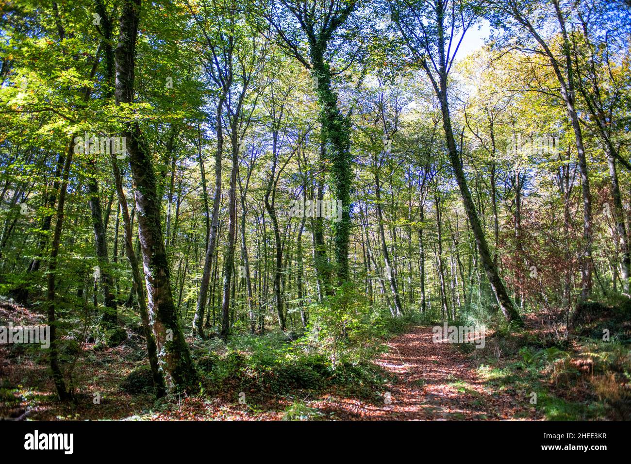 Precios de La Fageda: una experiencia única en la naturaleza de La Garrotxa